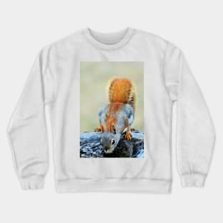 Thirsty Red Squirrel Crewneck Sweatshirt